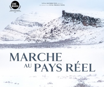 Affiche du film Marche au pays réel