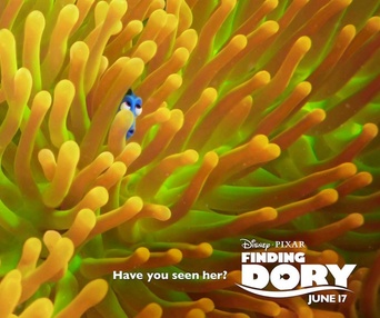 Affiche du film Finding Dory