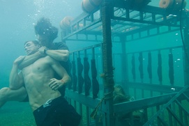 Une scène du film Shark Night 3D