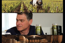 Affiche du film Grand cru