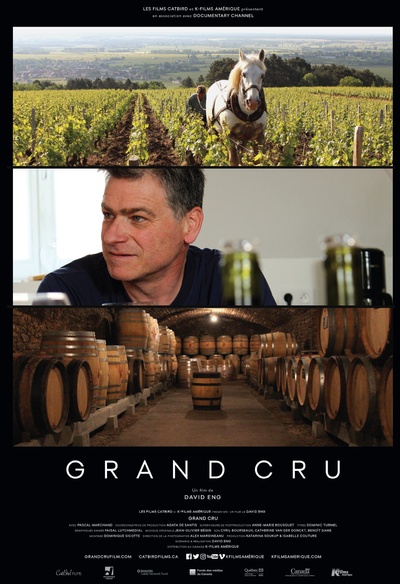 Affiche du film Grand cru