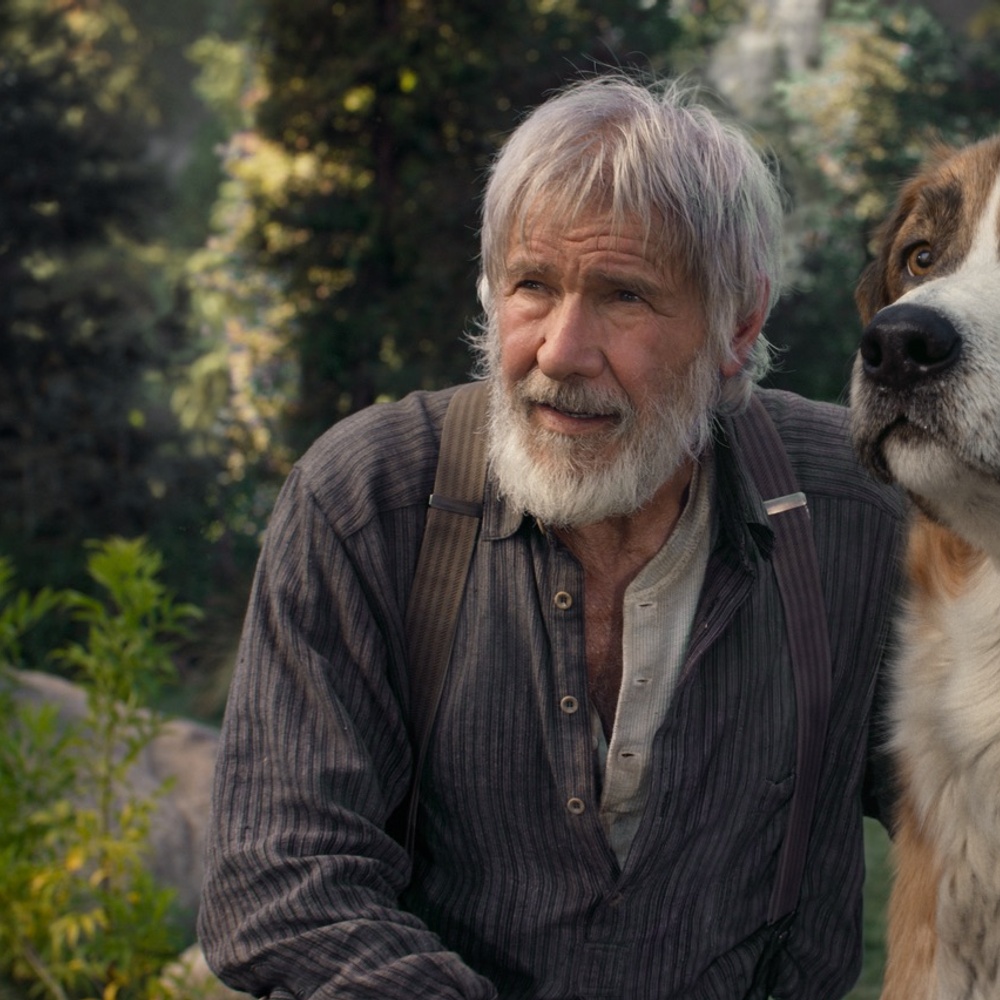 Une scène du film Call of the Wild