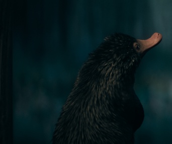 Une scène du film Fantastic Beasts: The Secrets of Dumbledore