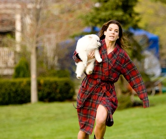 Scène du film The Proposal