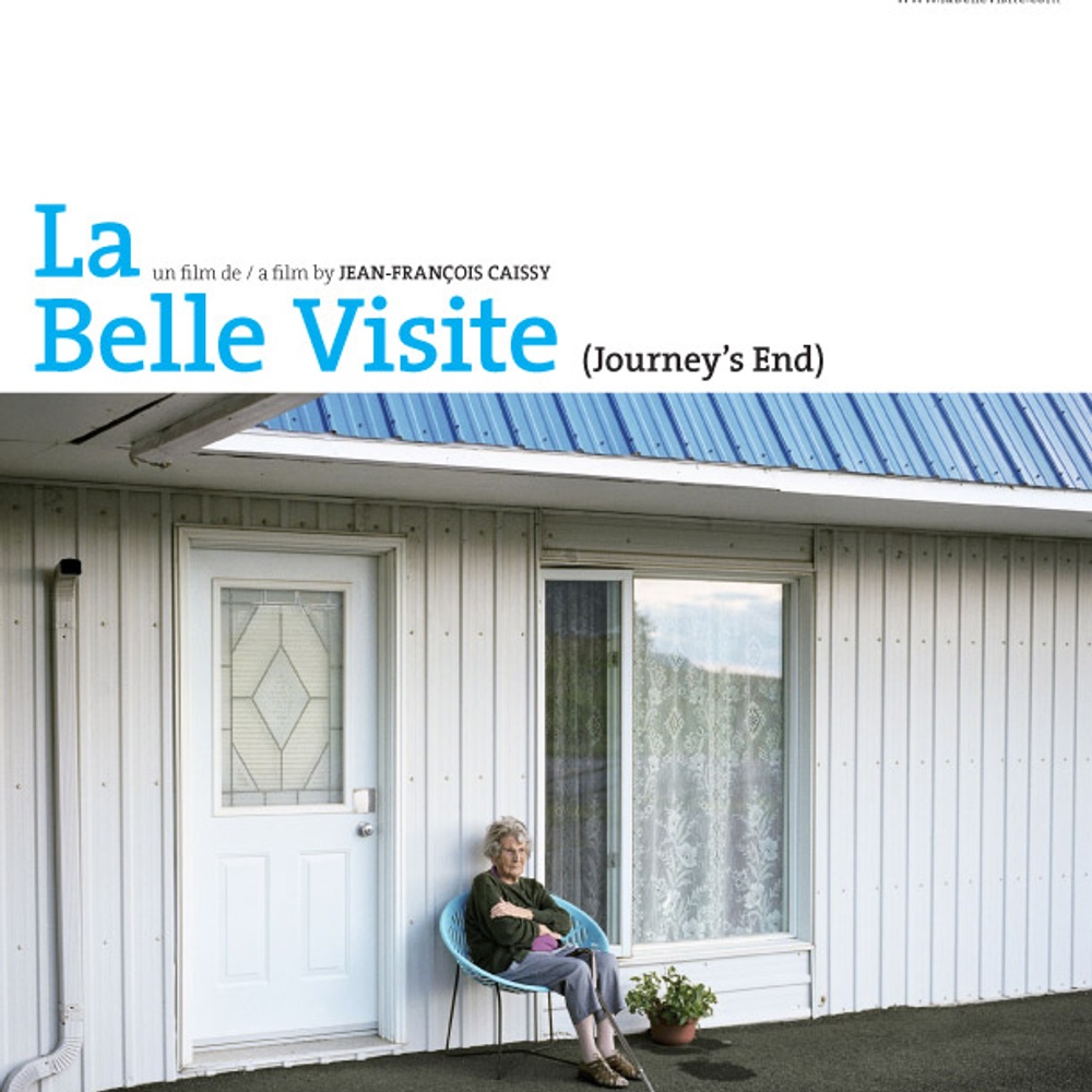 Affiche du film La belle visite