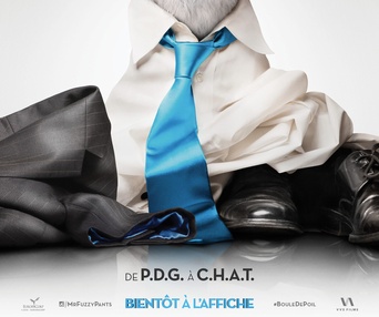 Affiche du film Les neuf vies de M. Boule-de-poil