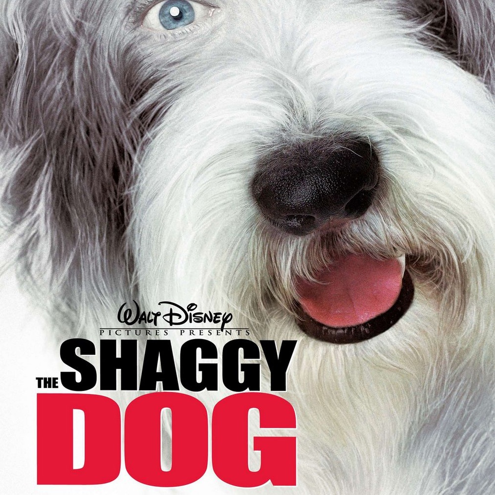 Affiche du film The Shaggy Dog