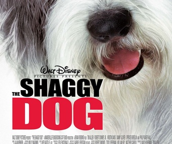 Affiche du film The Shaggy Dog