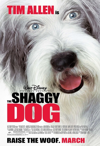 Affiche du film The Shaggy Dog