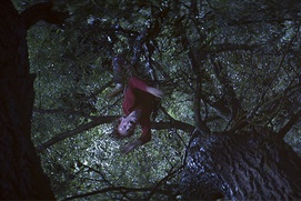 Une scène du film Poltergeist Une scène du film Poltergeist