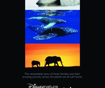 Affiche du film Earth