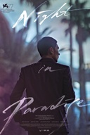 Affiche du film Night in Paradise