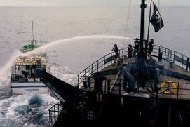 Scène du film Sharkwater