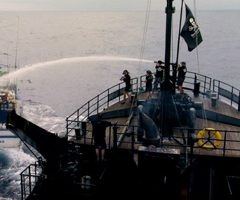 Scène du film Sharkwater