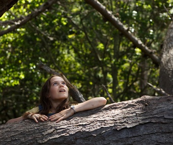 Une scène du film Pete's Dragon