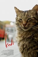 Affiche du film Kedi - Au royaume des chats