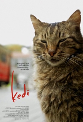 Kedi - Au royaume des chats