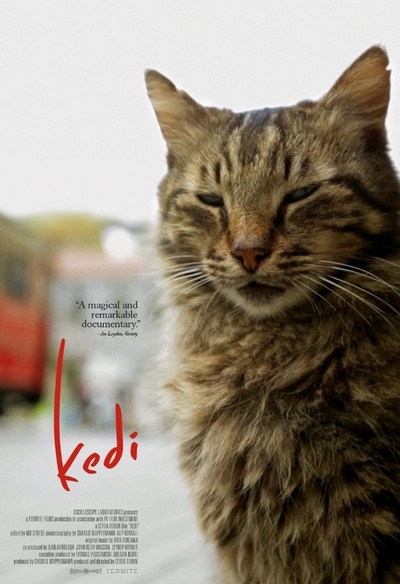 Affiche du film Kedi