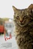 Affiche du film Kedi - Au royaume des chats