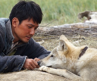 Une scène du film Wolf Totem