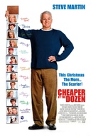 Affiche du film Moins cher la douzaine