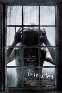 Affiche du film Les intrus