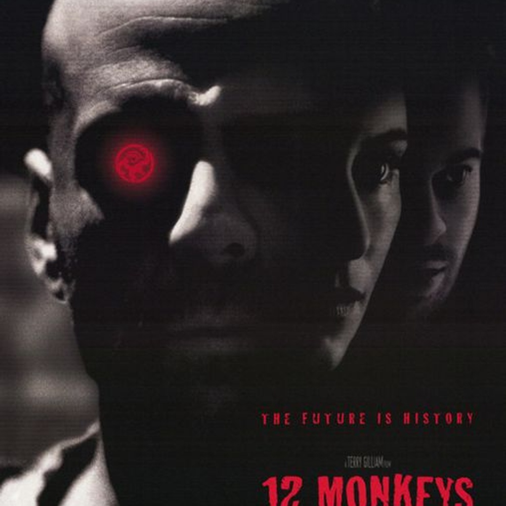 Affiche du film 12 Monkeys