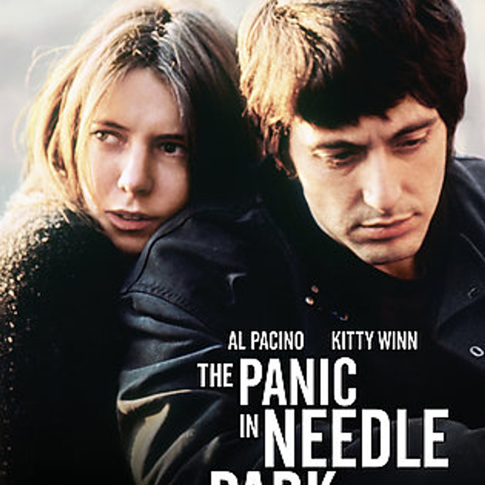 Affiche du film The Panic in Needle Park