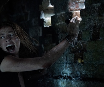 Une scène du film Crawl