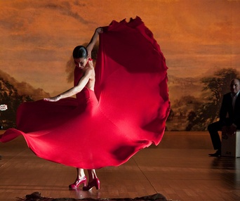 Une scène du film Flamenco Flamenco