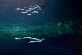 Une scène du film The Deepest Breath