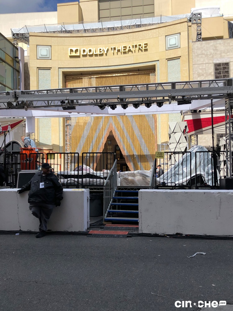 Tapis rouge des Oscars 2019