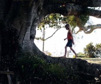 Une scène du film The Tree
