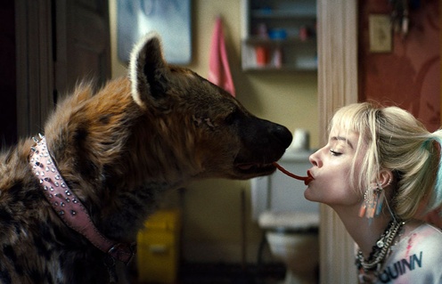 Une scène du film Birds of Prey