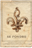 Affiche du film Se fondre
