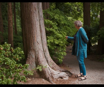 Images du film Forêts urbaines