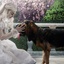 Anne Hathaway dans le film Alice au pays des merveilles