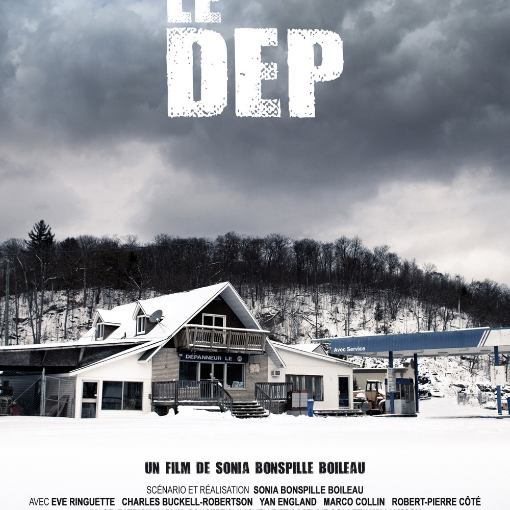 Affiche du film Le Dep