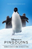 Affiche du film Pingouins