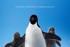 Affiche du film Penguis