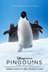 Affiche du film Pingouins