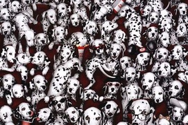 Affiche du film 101 Dalmatians Affiche du film 101 Dalmatians