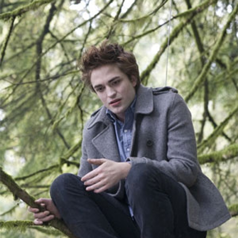 Robert Pattinson dans Twilight : L fascination
