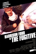 Affiche du film Le fugitif