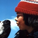 Image du film La guerre des tuques
