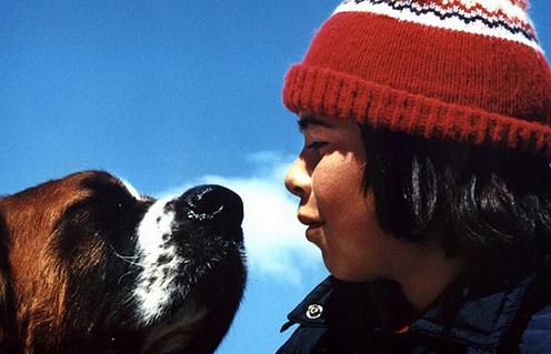 Image du film La guerre des tuques