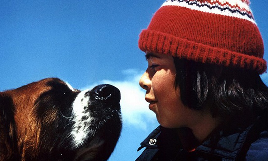 La guerre des tuques devient un film d'animation en 3D