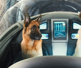 Une scène du film Cats & Dogs: The Revenge of Kitty Galore