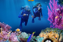 Affiche du film Jean-Michel Cousteau's Secret Ocean 3D