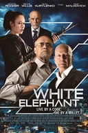 Affiche du film Témoin en péril